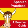 Spanish Practices - Real Life in Spain artwork