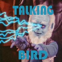 Talking Bird podcast