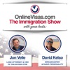 Voice of Immigration artwork