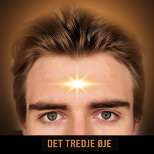 Det Tredje Øje
