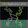 At the Intersection of DNA Replication and Genome Maintenance: from Mechanisms to Therapy artwork