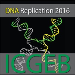 I. Whitehouse - Coupling of gene enhancers and replication origins