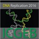 At the Intersection of DNA Replication and Genome Maintenance: from Mechanisms to Therapy