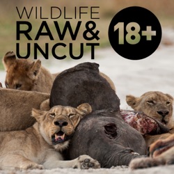 Wildlife Raw & Uncut Trailer