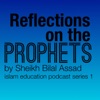 Reflections on the Prophets artwork