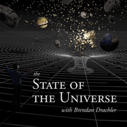 #81 - Dr. Daniel Whiteson - The Standard Model and Its Many Quirks!