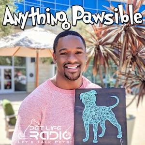 Anything Pawsible Episode 1 Marijuana Medicine: Veterinary Cannabis with Dr. Trina Hazzah