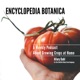 Encyclopedia Botanica