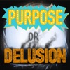 Purpose or Delusion? artwork
