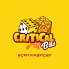 Critical Bits artwork