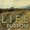 Life on Purpose artwork