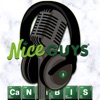 Not Your Average Nice Guys Podcast artwork