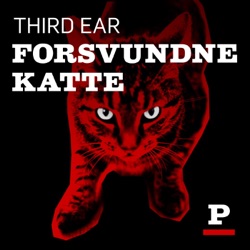 Forsvundne katte