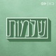 סוף והתחלה (פרק 10)