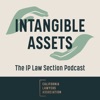 Intangible Assets The IP Law Section Podcast artwork