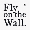 Fly on the Wall artwork