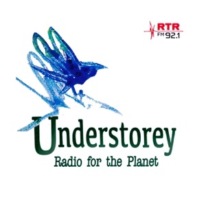 Understorey: Planting Gingkos for Peace