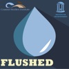 Flushed artwork