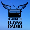 Beautiful Flying Radio artwork
