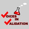 Voices In Validation artwork