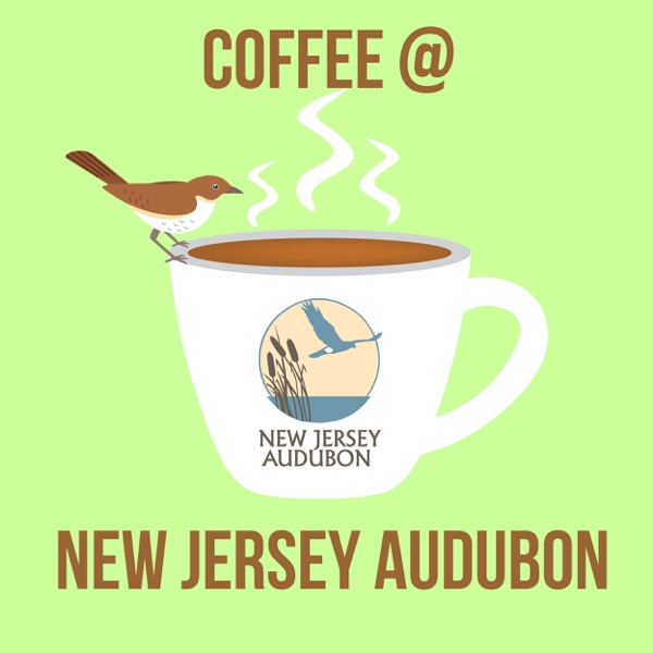 Coffee At New Jersey Audubon Artwork