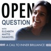 Open Question artwork