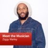 Ziggy Marley: Meet the Musician artwork