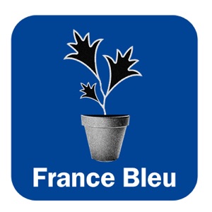 Les experts au jardin