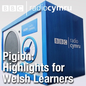 Pigion y Dysgwyr Tachwedd 13eg 2020
