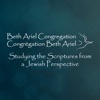 Beth Ariel Congregation artwork