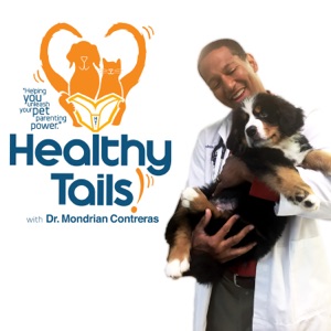 Talking with Children about Pets