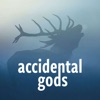 Accidental Gods  artwork