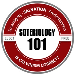 Free Will in the Calvinistic Confessions?