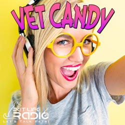 Vet Candy -  Episode 34 In Other News… We Can Get Stressed Out?