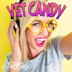 Vet Candy - Episode 43 In Other News... Confessions Of A Clinical Pathology Superhero