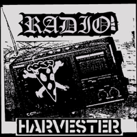 LH Radio #17 Ted Leo (Ted Leo)