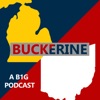 Buckerine: A B1G Podcast artwork