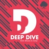 Deep Dive with Shane & Amy artwork