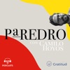 Paredro Podcast artwork
