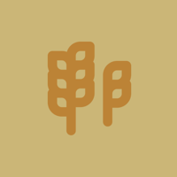 Stories podcast
