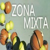 Zona Mixta