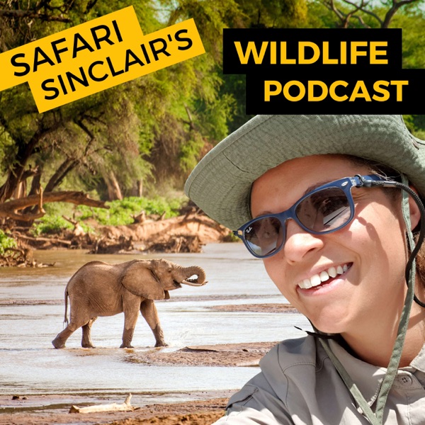 Safari Sinclair's Wildlife Podcast Artwork