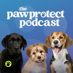 The Paw Protect Podcast