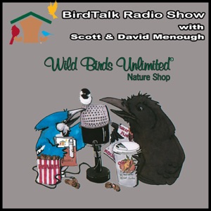 BirdTalk with Scott & David Menough - November 9th, 2019