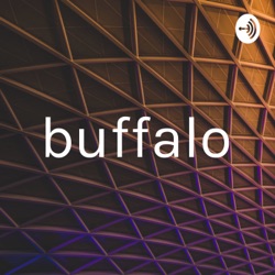 buffalo