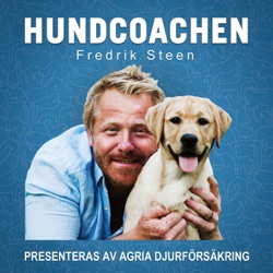 23. Frågor från hundkunniga