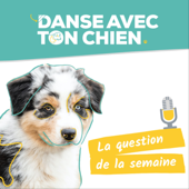 Danse avec ton chien : éducation canine bienveillante - clicker training - dog dancing - Julia Téchené