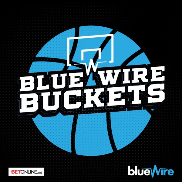 Blue Wire Buckets Artwork