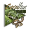 Corallus Radio artwork