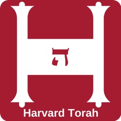 Harvard Torah Ep. 47 - Vayelekh: Scripture